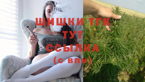 индика Вязники