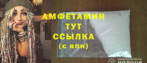 индика Вязники