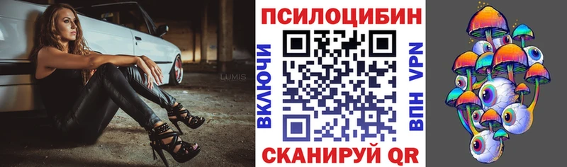 Псилоцибиновые грибы Psilocybe Горнозаводск